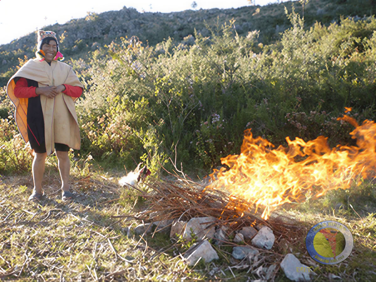 Healing Shaman Astrology