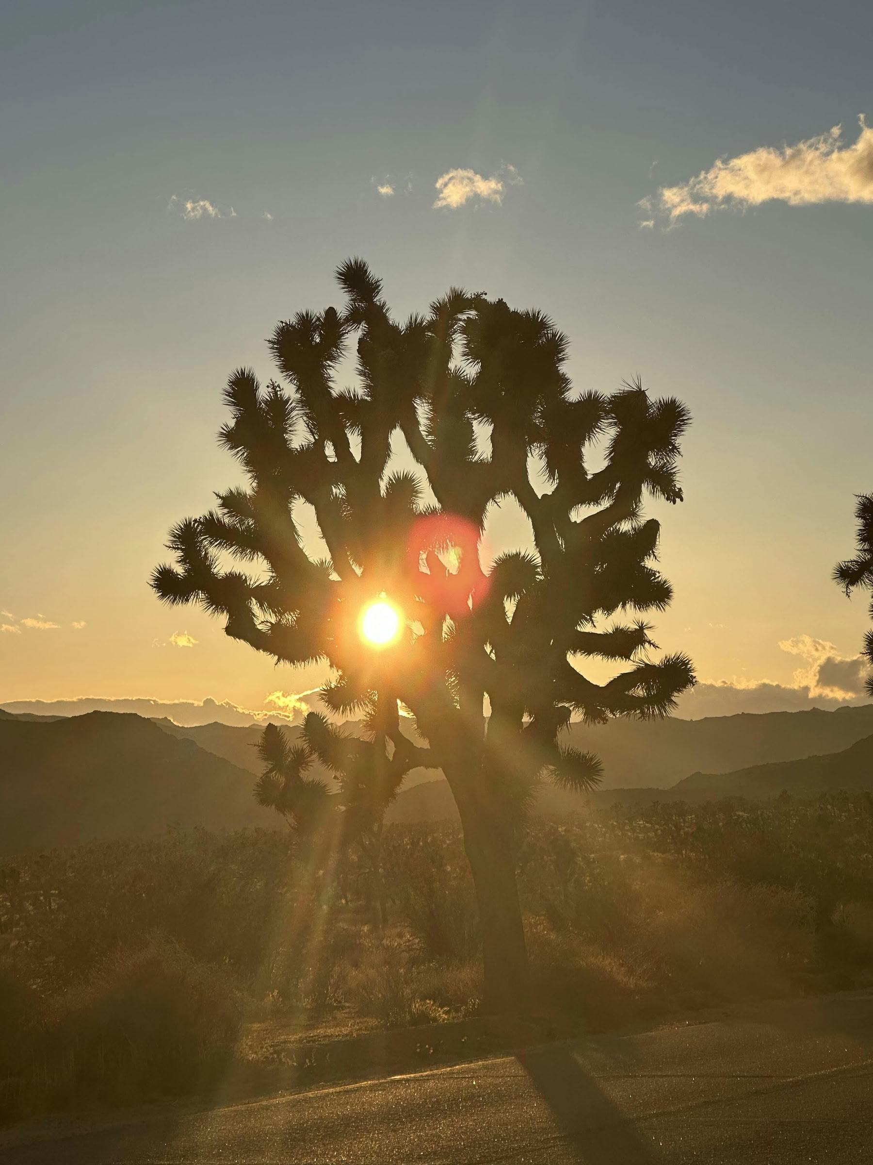 Desert Healing Breathwork Experience - Palm Springs