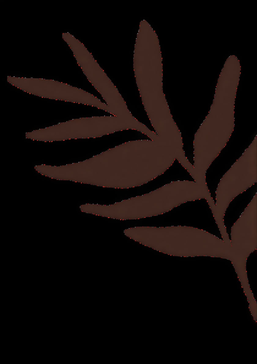Accredited Shamanic Practitioner Training