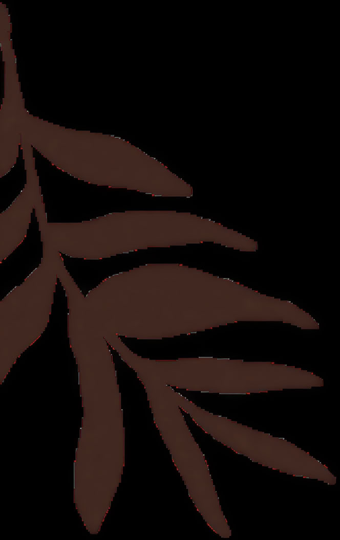Accredited Shamanic Practitioner Training