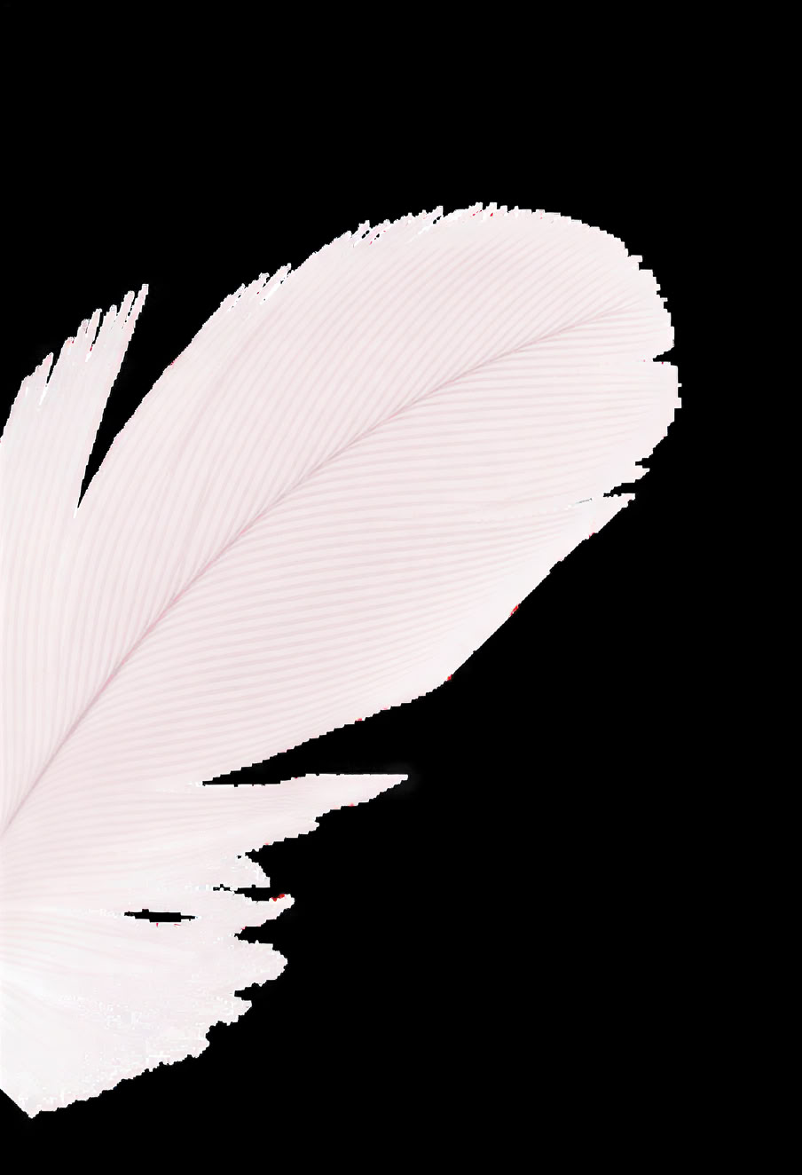 Accredited Shamanic Practitioner Training