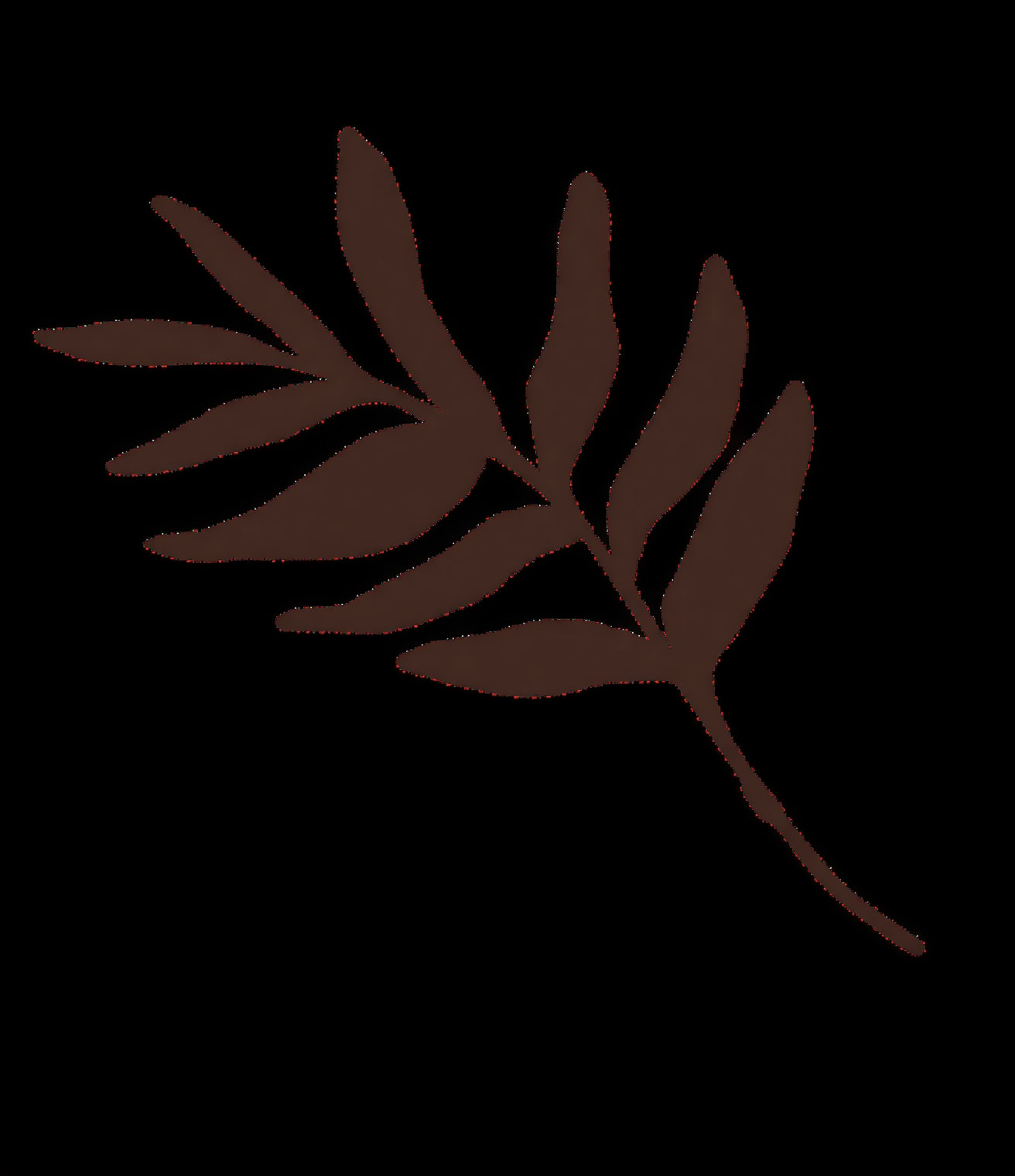 Accredited Shamanic Practitioner Training