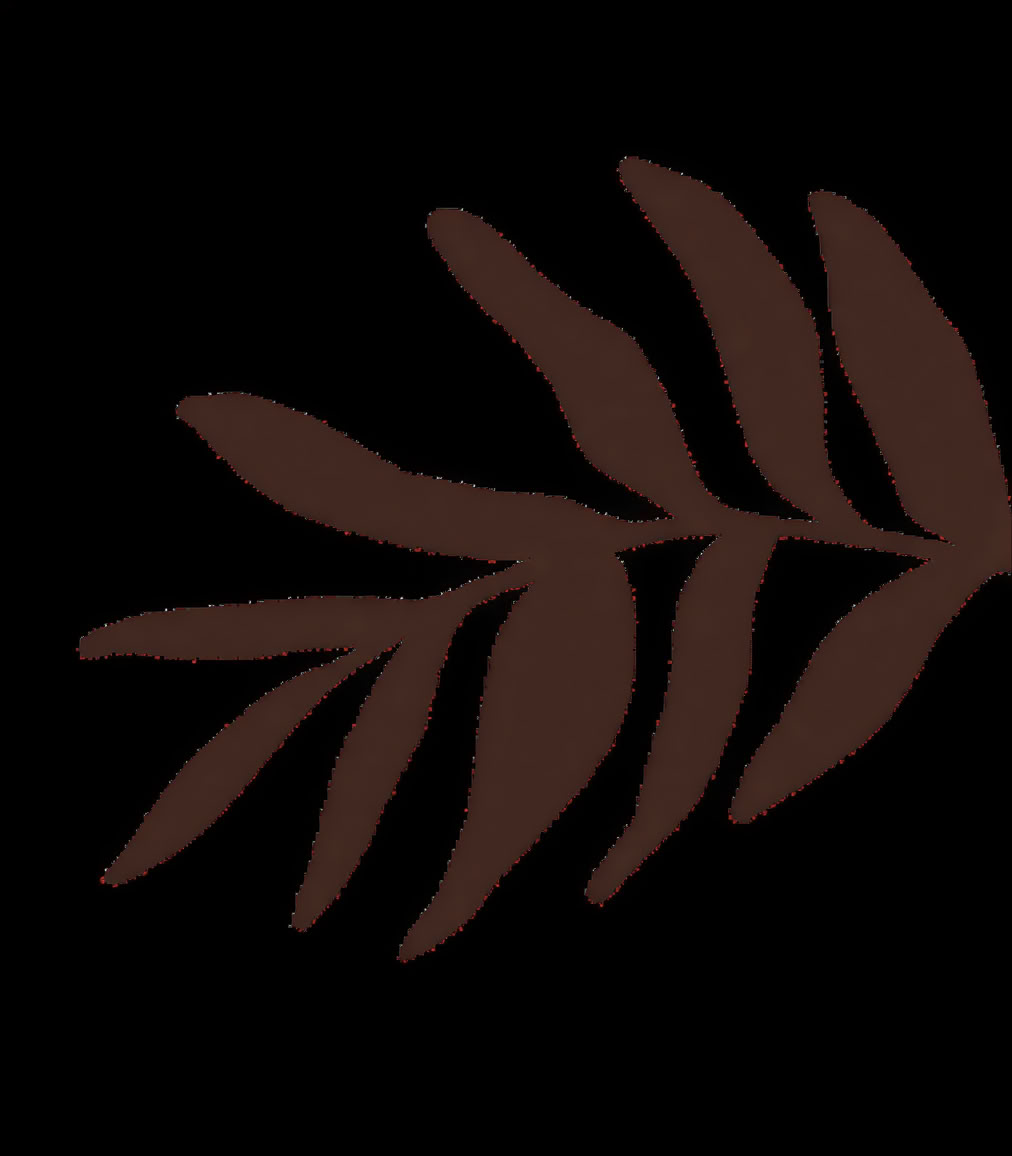 Accredited Shamanic Practitioner Training