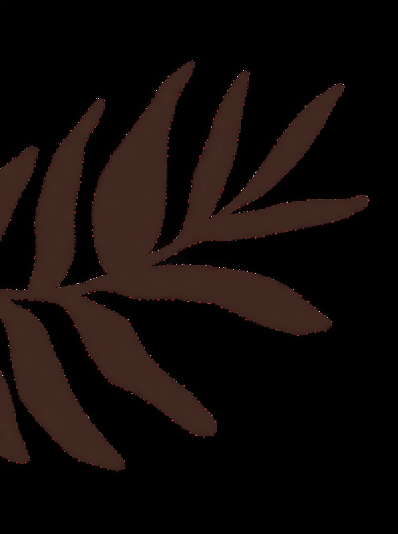 Accredited Shamanic Practitioner Training