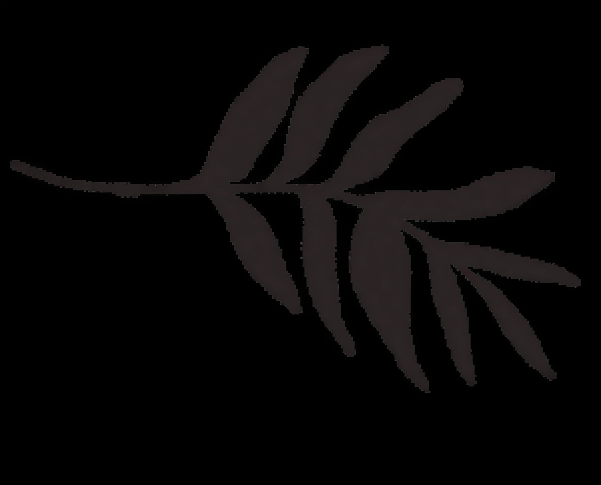 Accredited Shamanic Practitioner Training