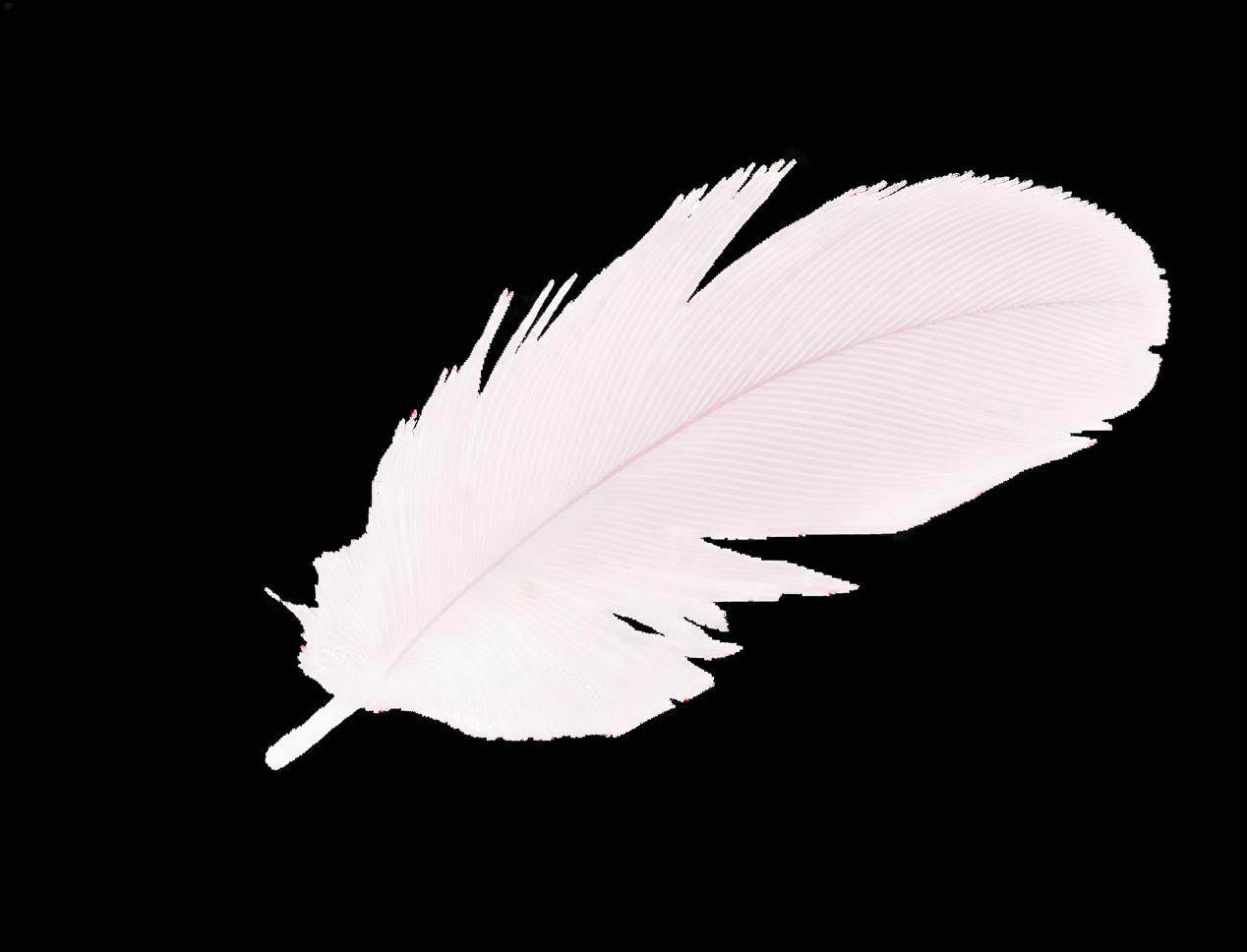 Accredited Shamanic Practitioner Training