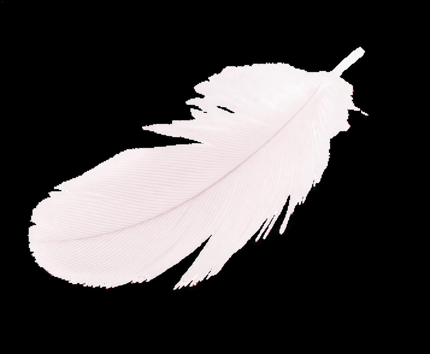 Accredited Shamanic Practitioner Training