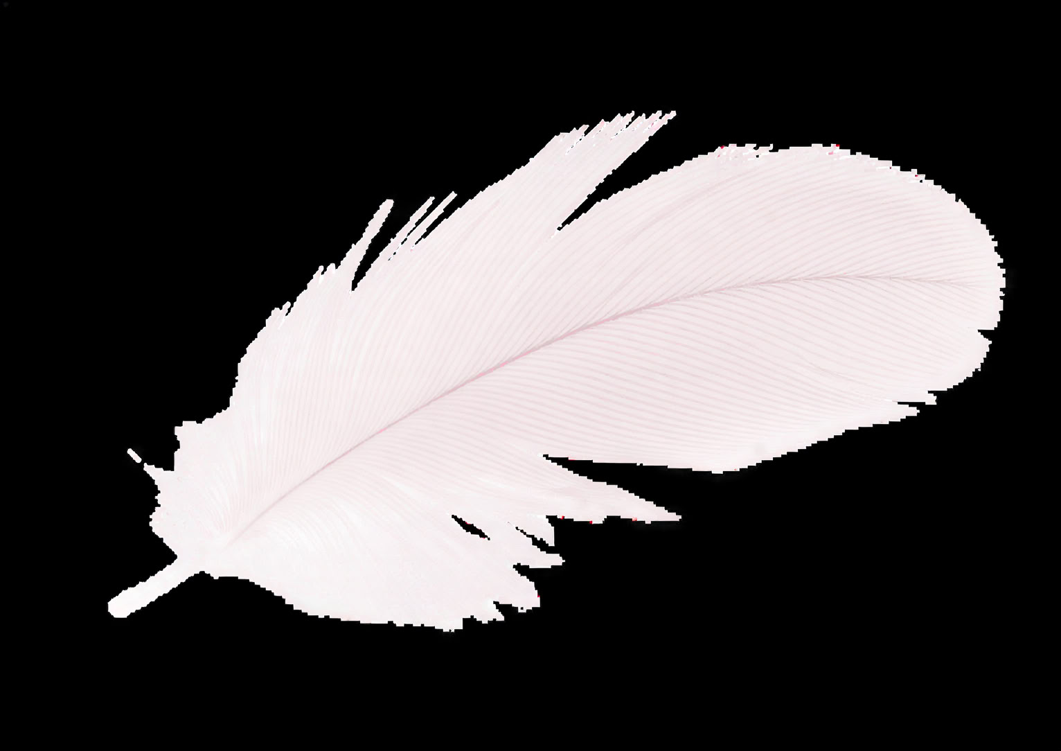 Accredited Shamanic Practitioner Training