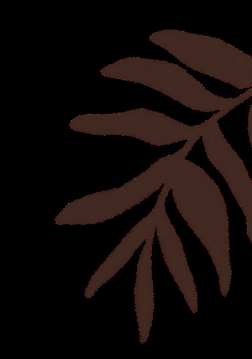 Accredited Shamanic Practitioner Training