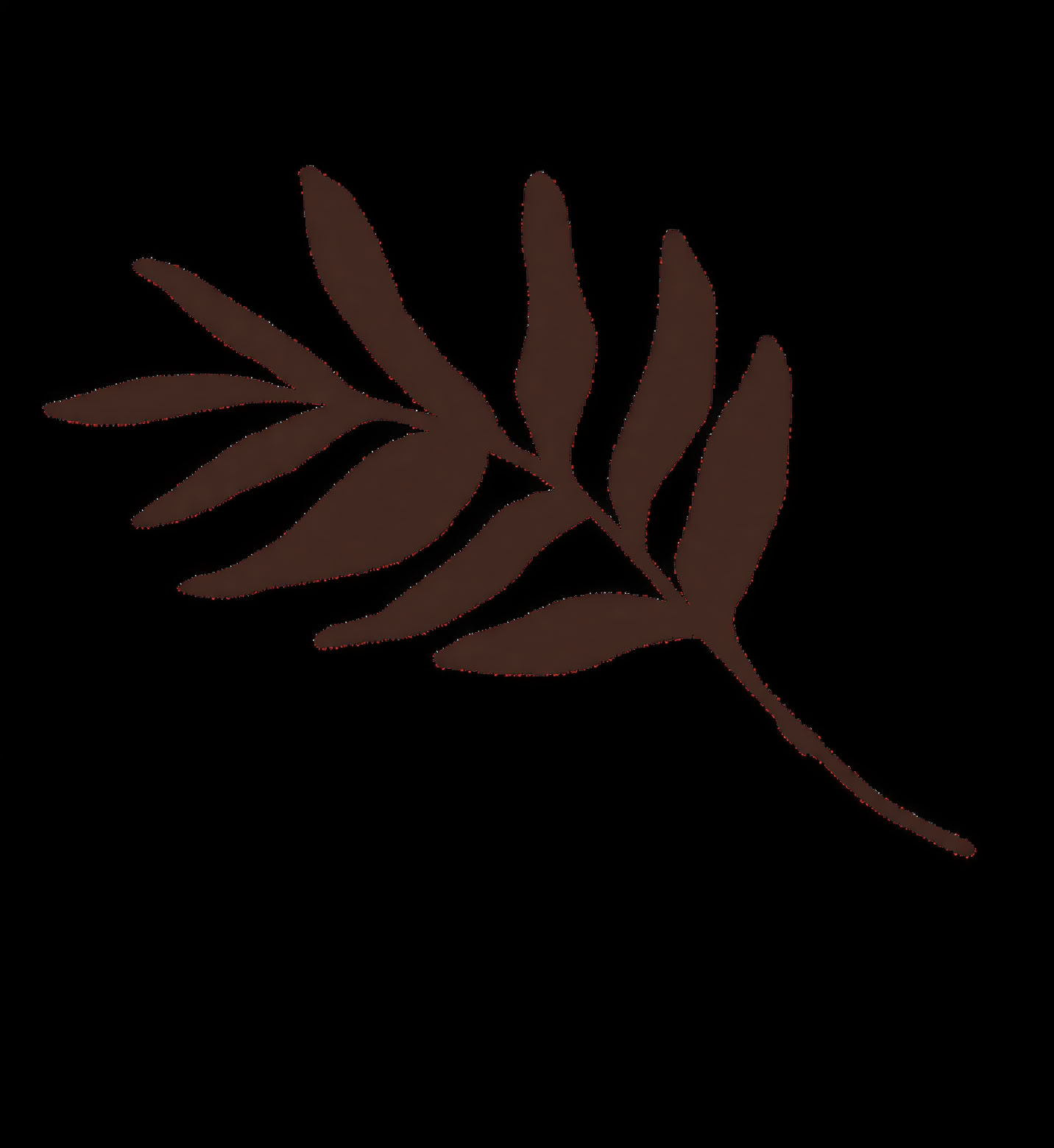 Accredited Shamanic Practitioner Training