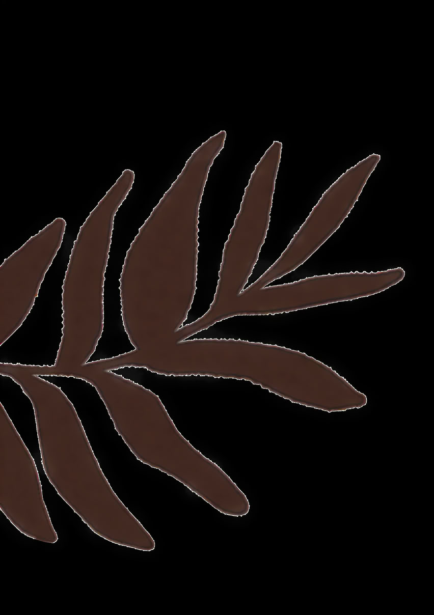 Accredited Shamanic Practitioner Training
