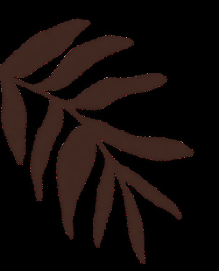 Accredited Shamanic Practitioner Training
