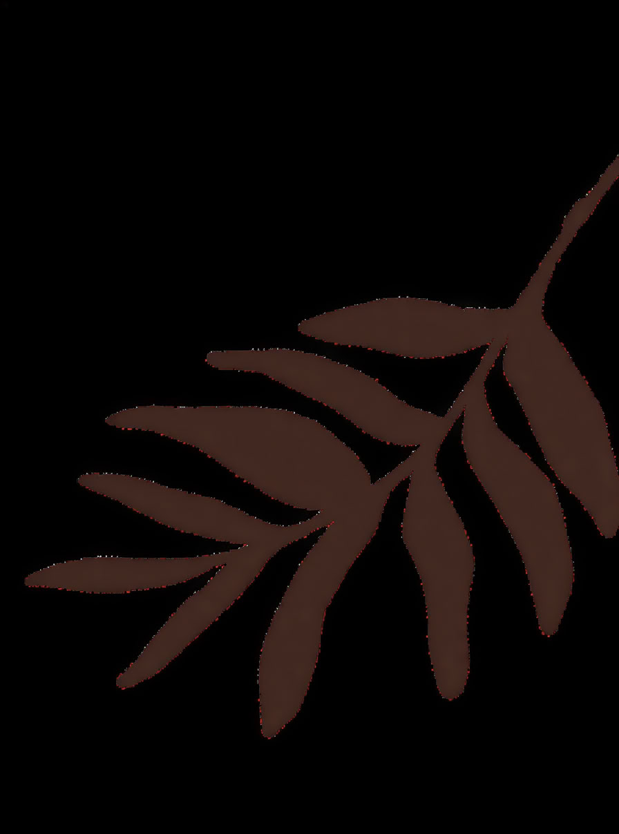 Accredited Shamanic Practitioner Training