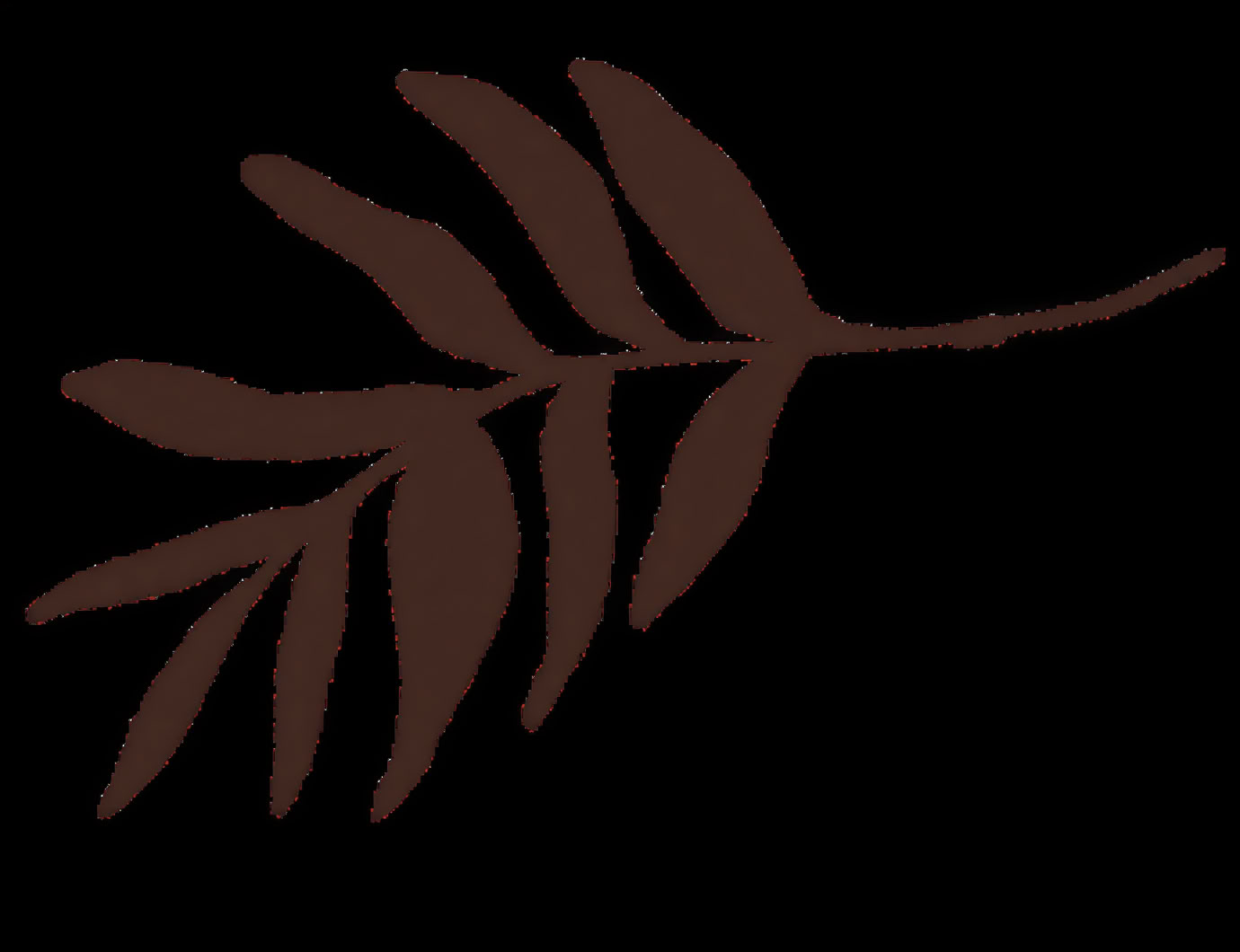 Accredited Shamanic Practitioner Training