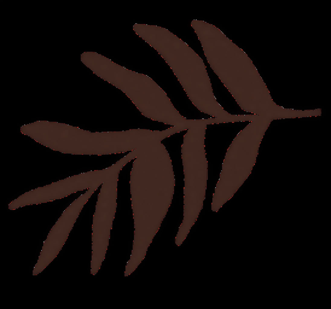 Accredited Shamanic Practitioner Training