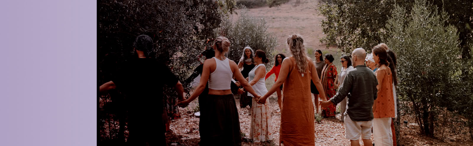 Accredited Shamanic Practitioner Training