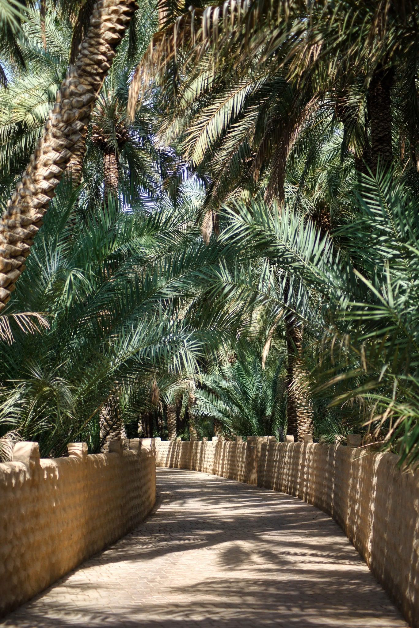 Spice Isle Experience - Palm Springs