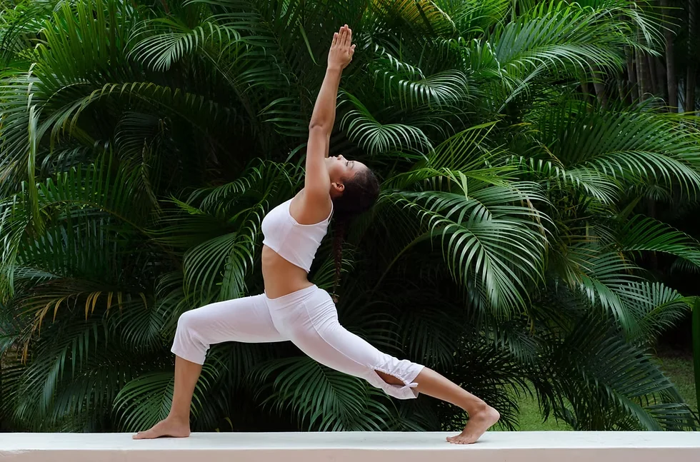 THE FASCIA WAVE RETREAT: ​ COSTA RICA
