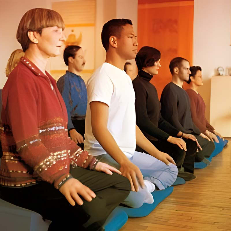 Staying Human in Turbulent Times: Embodied Compassion for Daily Life