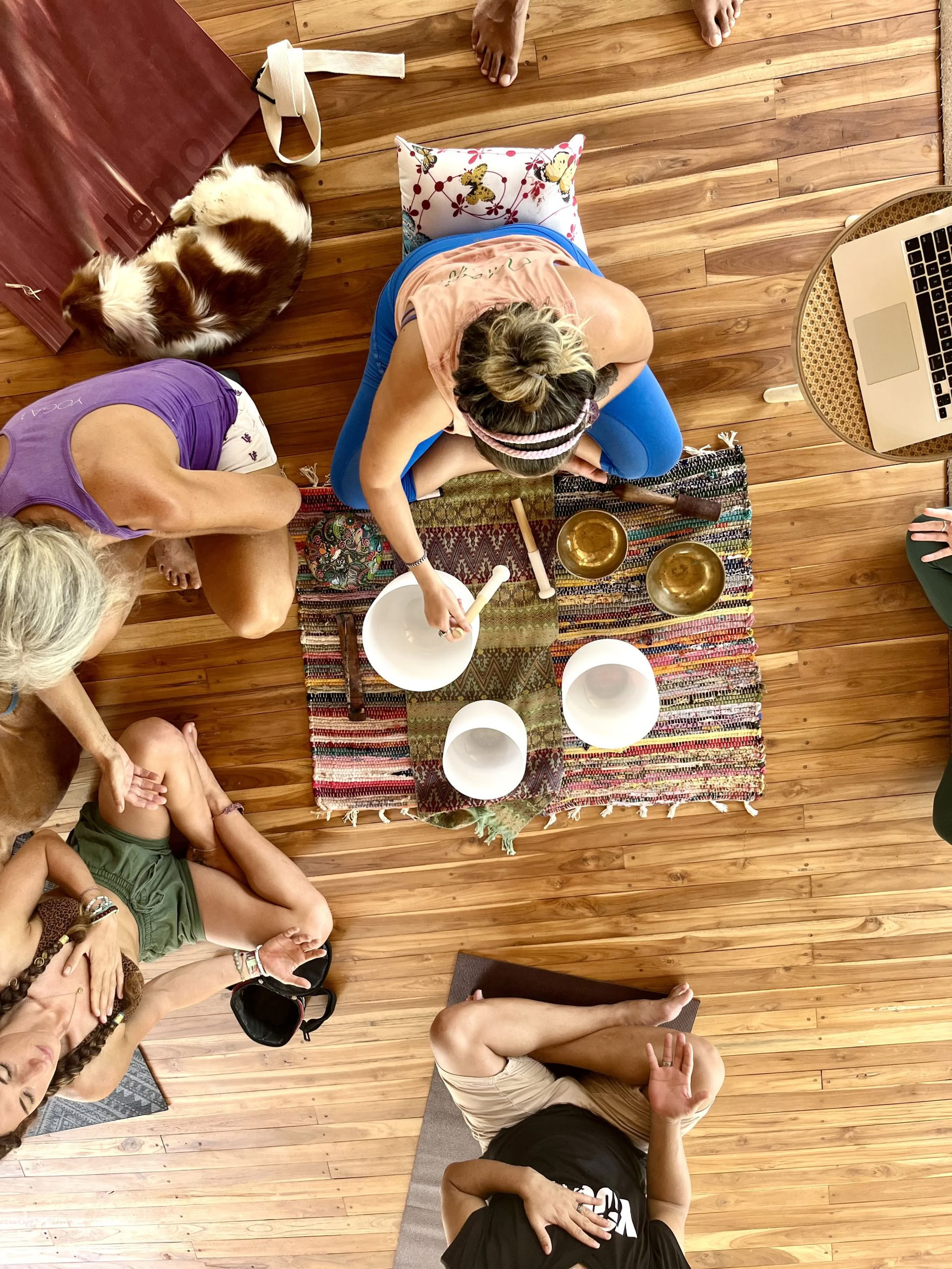Breathwork Training: Practitioner & Teacher Track – Aug 30, 2026 – Sep 2, 2026
