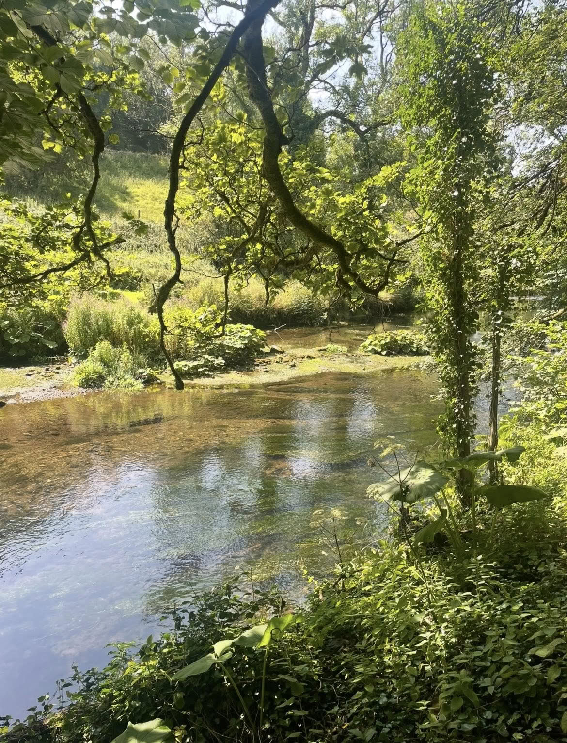 1-4 June One to One Bespoke Emotional Healing Retreat