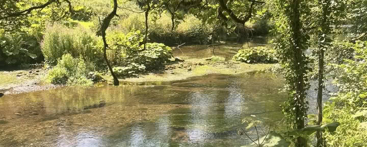Deposit on 4 Day Ho' Oponopono Retreat March 30th-April 2nd