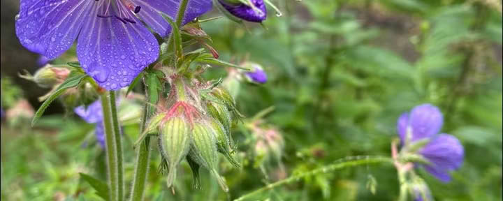 5-8 May Deposit on Mindfulness Retreat