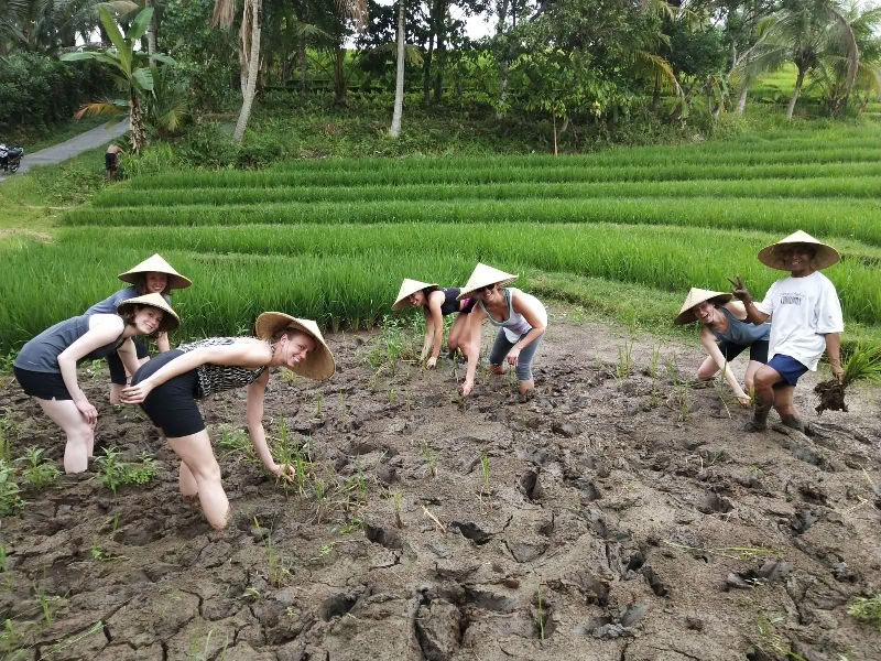 BALIGRASS - Self Healing with Ancient & Meditation
