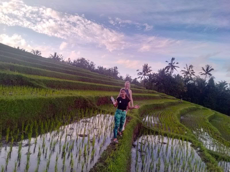 BALIGRASS - Self Healing with Ancient & Meditation