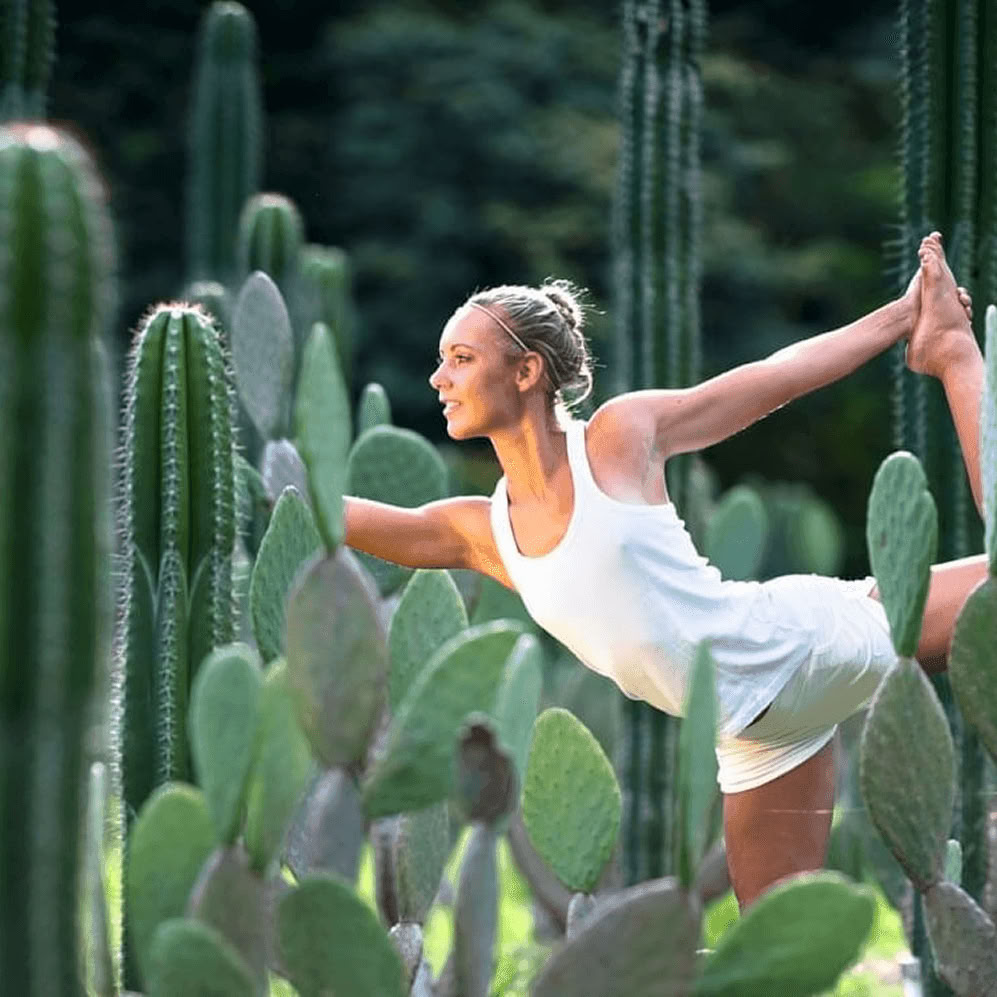 Wellness Escape