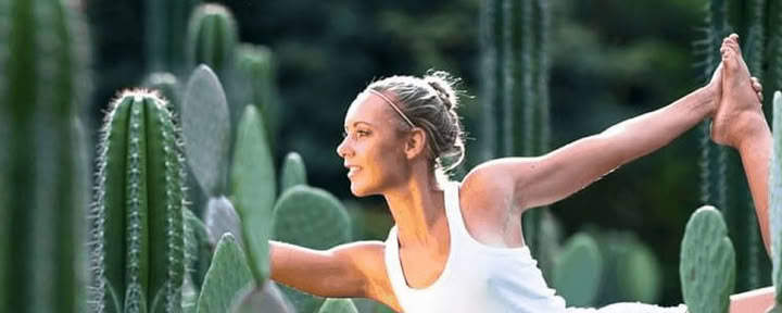 Wellness Escape