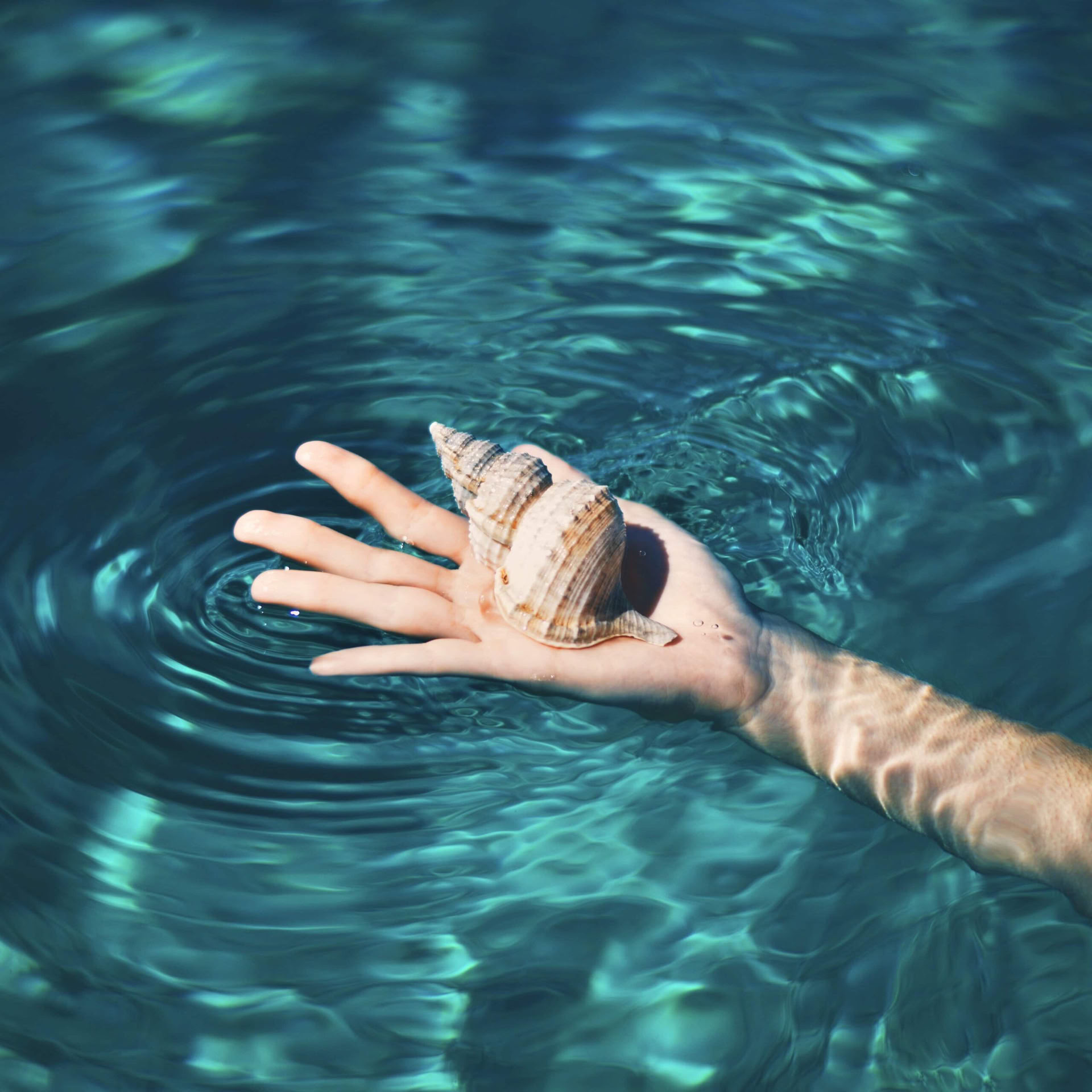 Solo Retreat: Surf Every Day