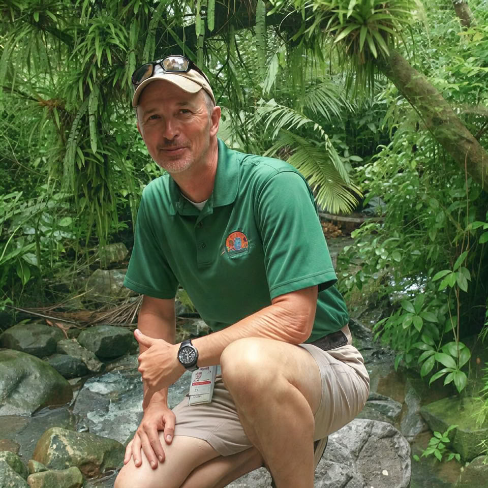 El Yunque Rainforest Night Walk