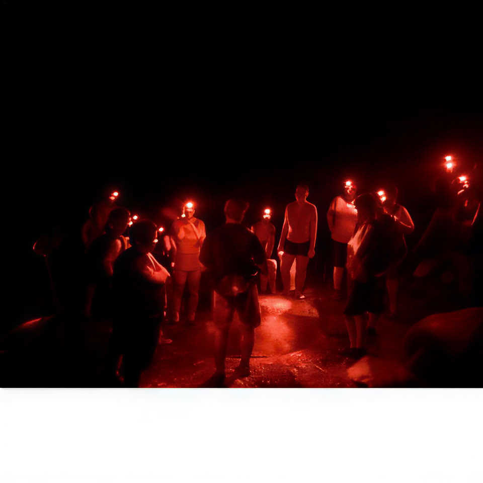 El Yunque Rainforest Night Walk