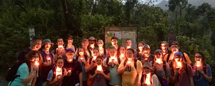 El Yunque Rainforest Night Walk
