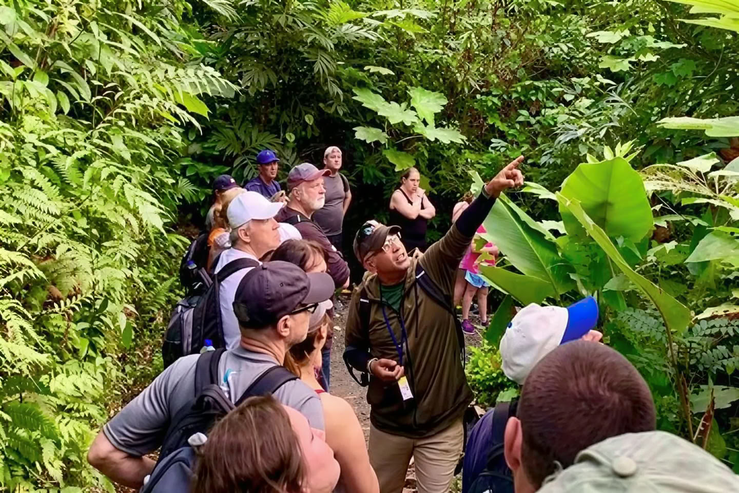 Wild & Scenic Rainforest Nature Walk to River Adventure
