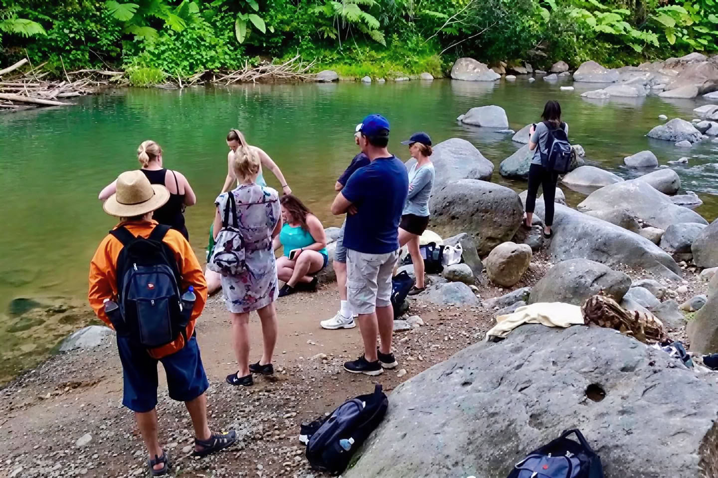 Wild & Scenic Rainforest Nature Walk to River Adventure