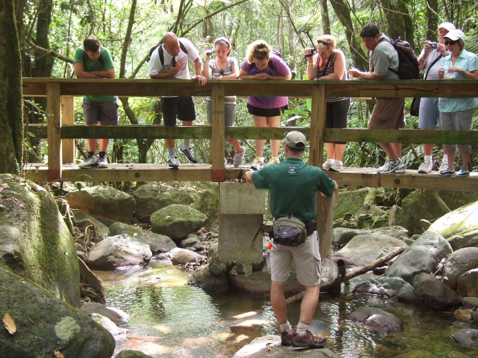 Wild & Scenic Rainforest Nature Walk to River Adventure