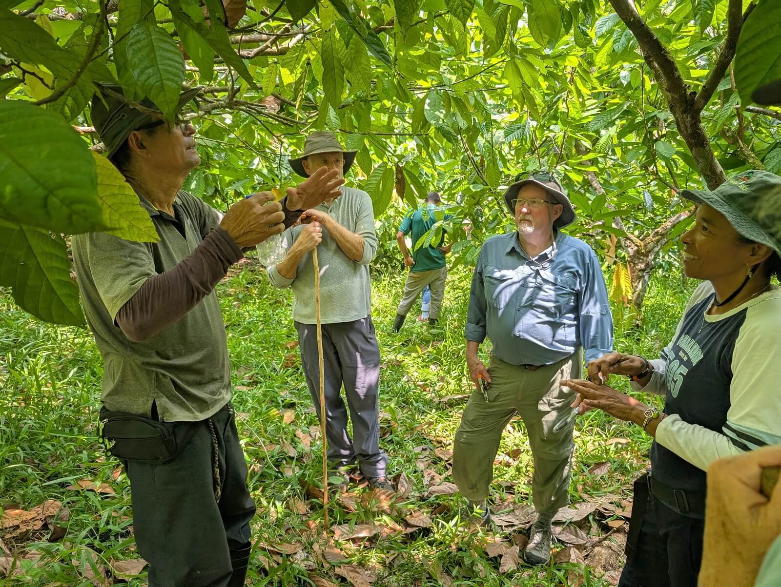 Earth-to-Bar chocolate making workshop