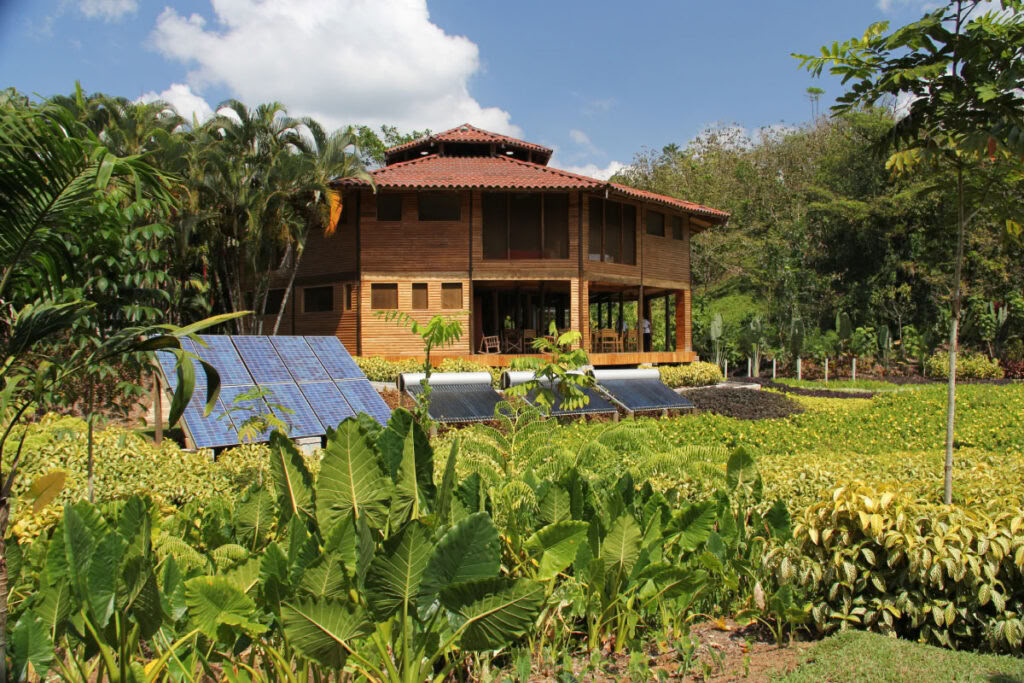 Earth-to-Bar chocolate making workshop