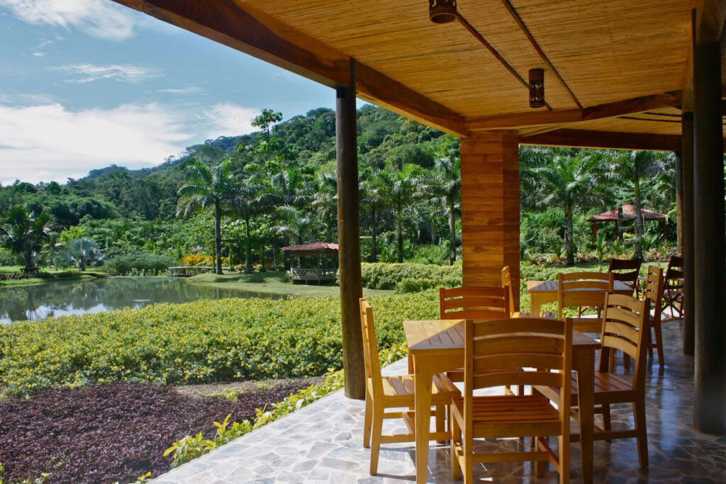 Earth-to-Bar chocolate making workshop