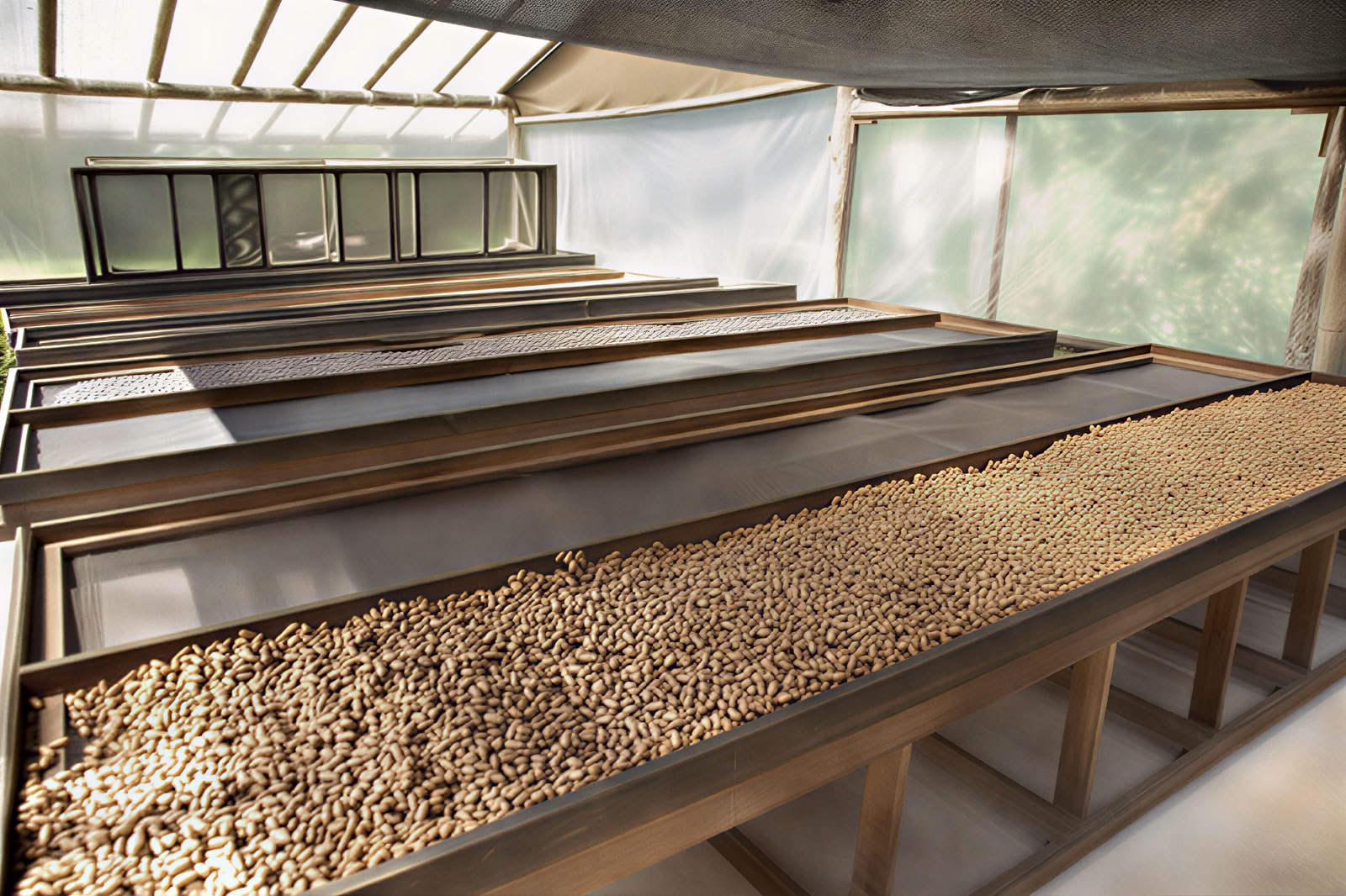 Earth-to-Bar chocolate making workshop