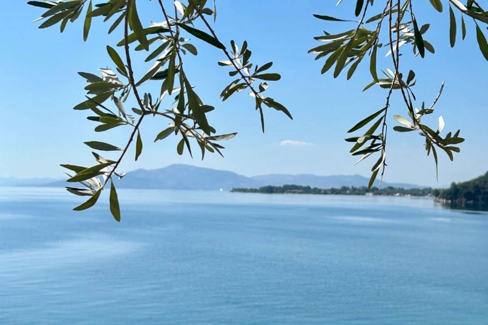 Experience The Elements Retreat Pelion September 2026