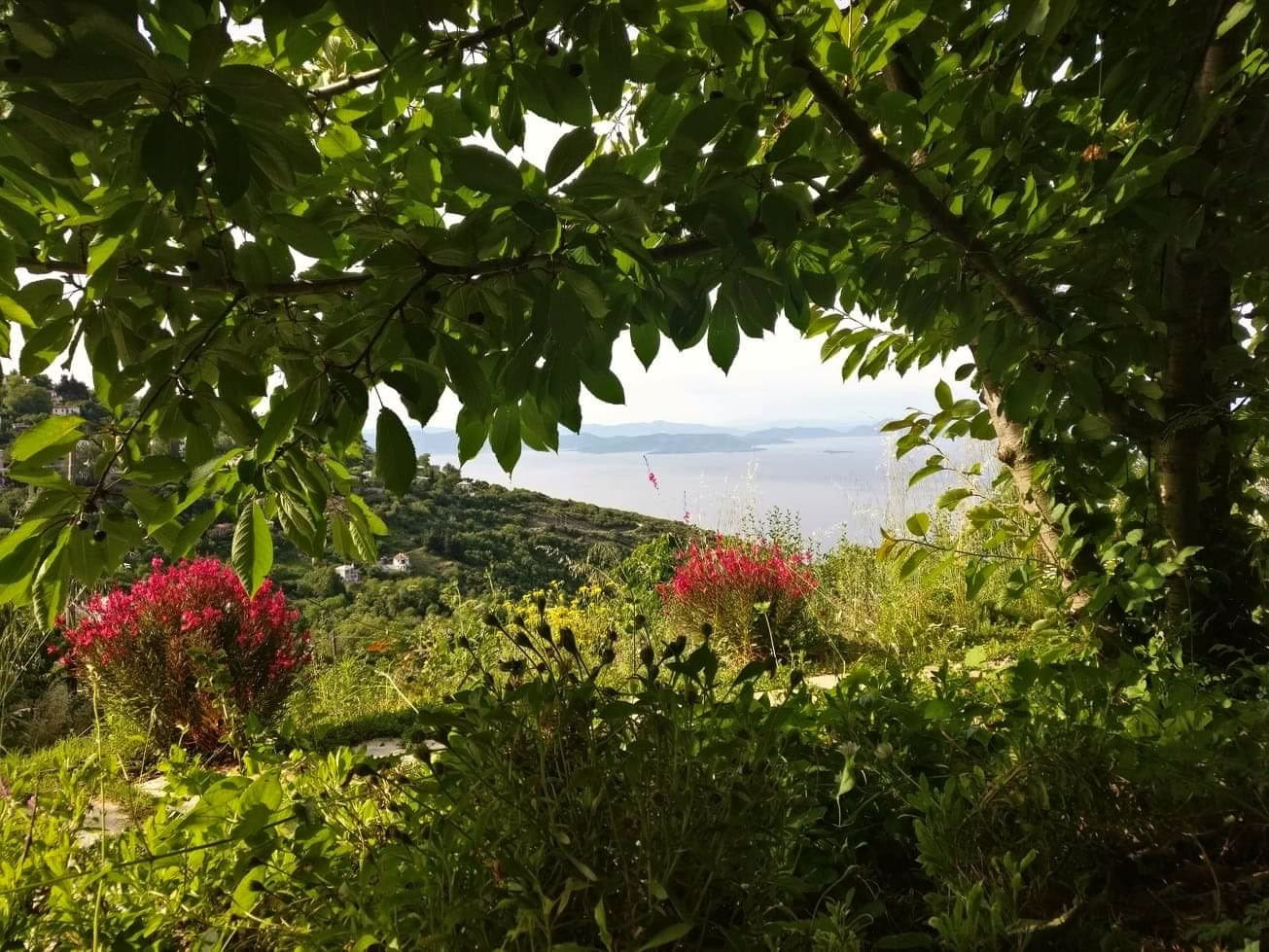 Self Awakening retreat