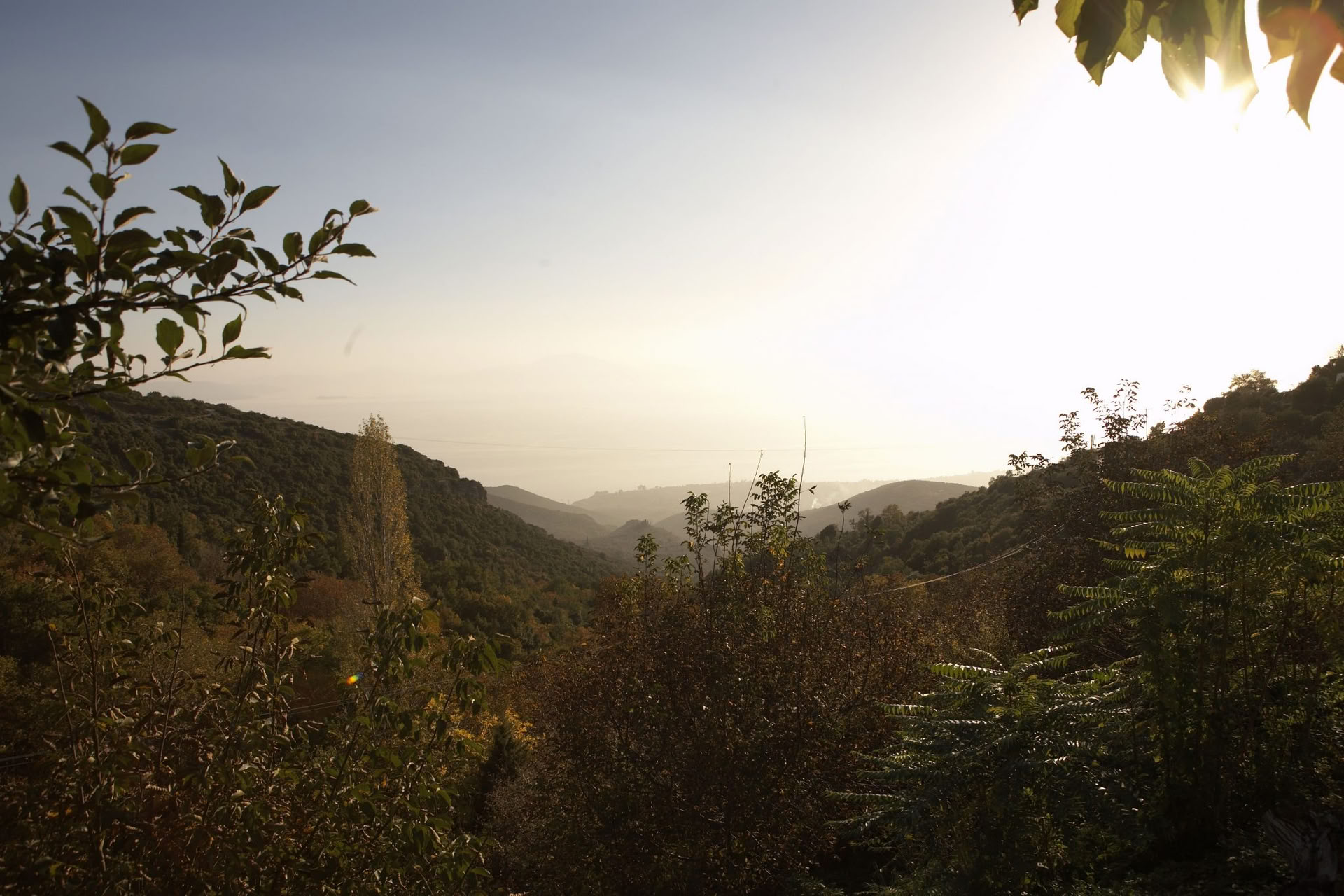Sunshine For Joy & Wellbeing retreat in Pelion