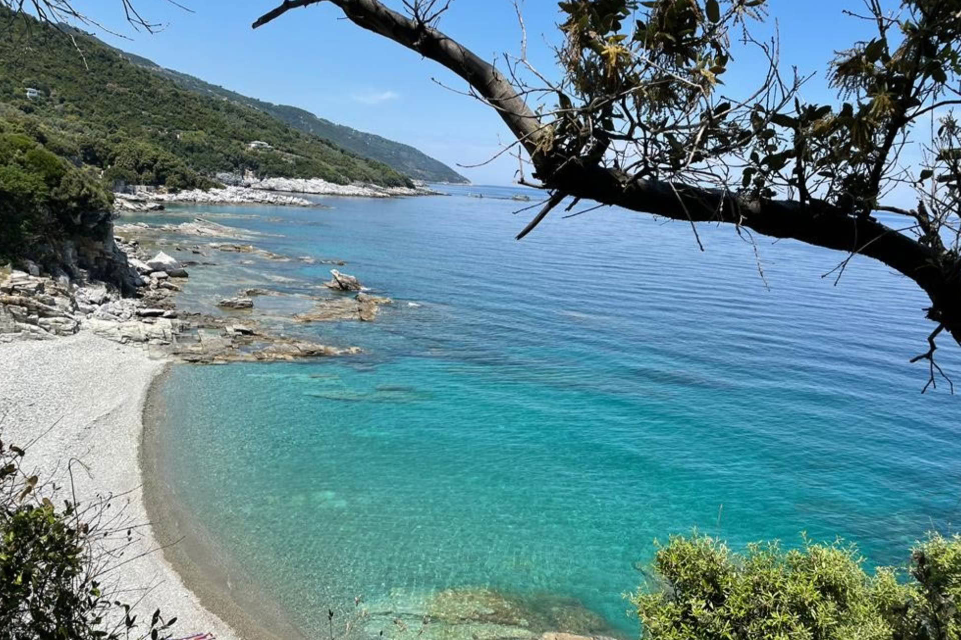 Tata Wellness retreat in Pelion