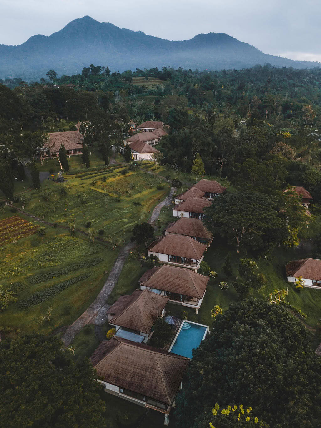 Meditation Teacher Training in Bali, Pelaga
