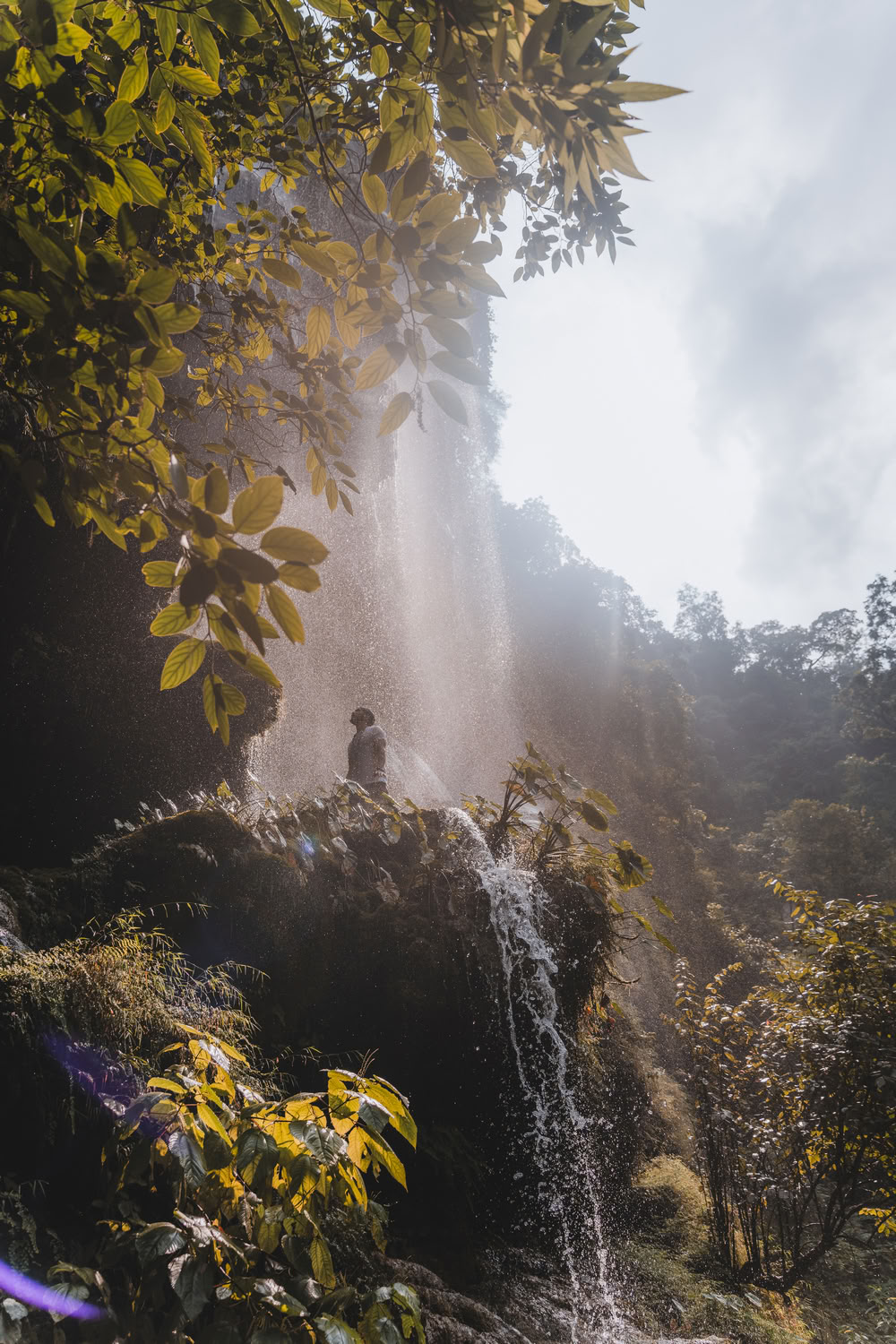 200 hour YTT in Rishikesh – May 23rd - June 14th, 2026