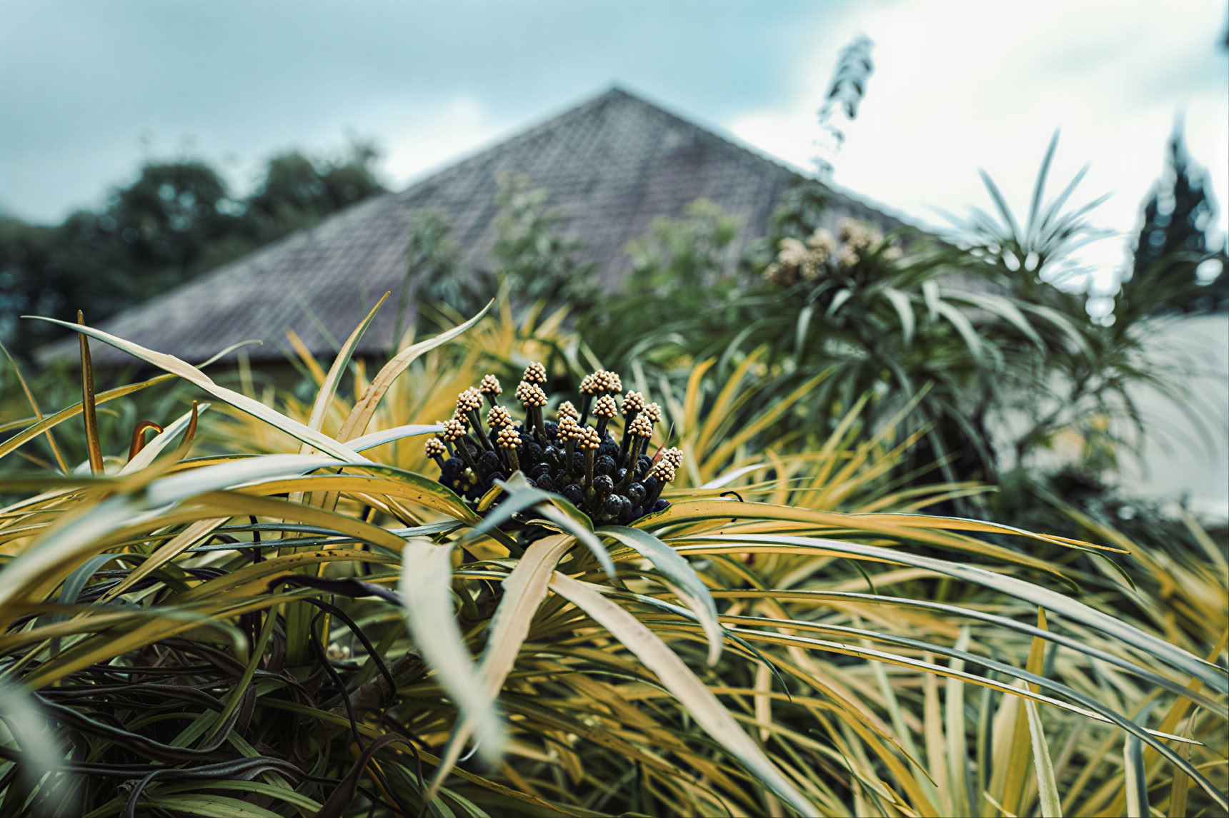 200-hour YTT in Pelaga, Bali – May 11th – May 30th, 2026