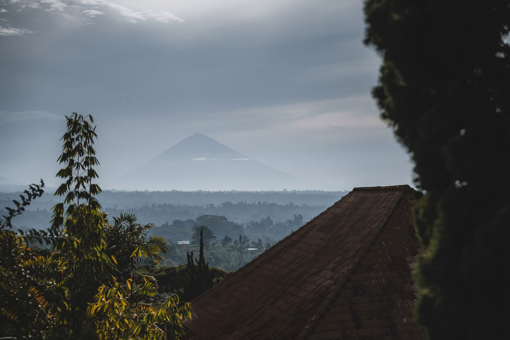 200-hour YTT in Bali, Pelaga – Jun. 24th – Jul. 11th, 2026